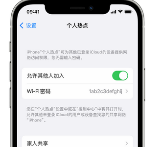 穆棱apple服务站点分享iPhone上个人热点丢失了怎么办 