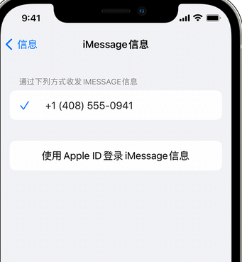 穆棱apple维修iPhone上无法正常发送iMessage信息 