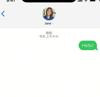 穆棱apple维修iPhone上无法正常发送iMessage信息