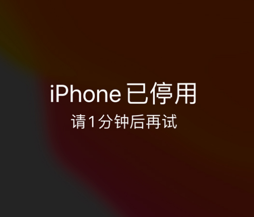 穆棱苹果手机维修分享:iPhone 显示“不可用”或“已停用”怎么办？还能保留数据吗？ 