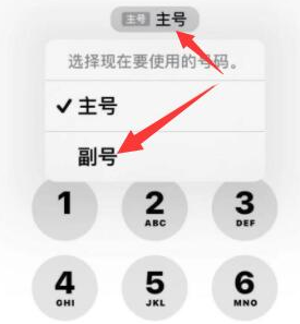 穆棱苹果14维修店分享iPhone 14 Pro Max使用副卡打电话的方法 