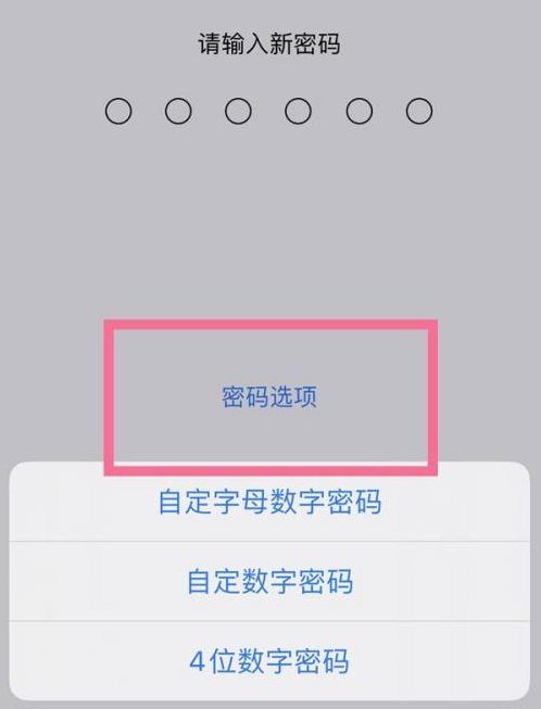 穆棱苹果14维修分享iPhone 14plus设置密码的方法 