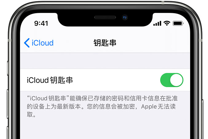 穆棱苹果手机维修分享在 iPhone 上开启 iCloud 钥匙串之后会储存哪些信息 