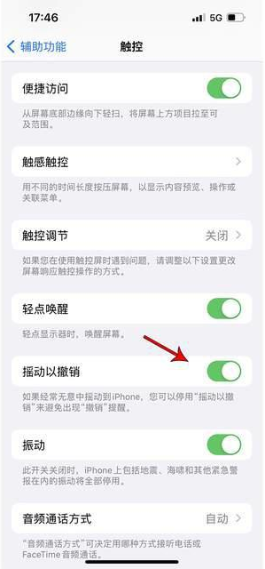 穆棱苹果手机维修分享iPhone手机如何设置摇一摇删除文字 