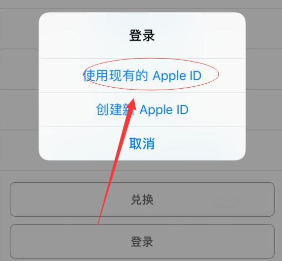 穆棱苹果手机维修分享两台iPhone设备可以同时登录一个Apple ID吗 