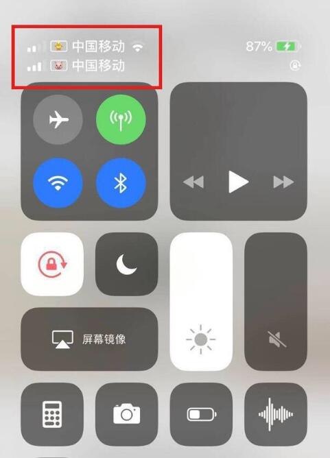 穆棱苹果手机维修分享为 iPhone 12 双卡设置标签 