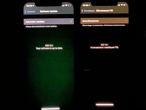 穆棱苹果手机维修分享iPhone 12 显示黑色画面时发绿光怎么办 