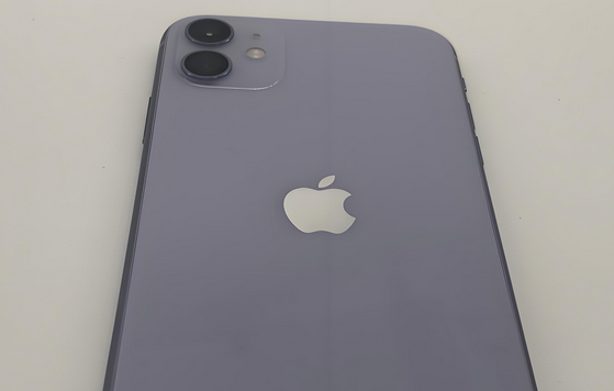 穆棱苹果11系统维修分享iPhone11手机系统崩溃无法开机如何解决