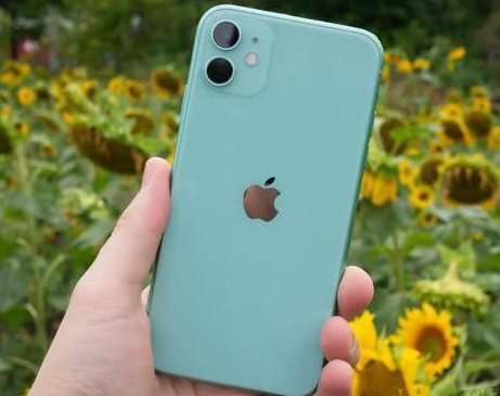 穆棱苹果维修点分享iPhone 11锁屏密码认知与使用科普 