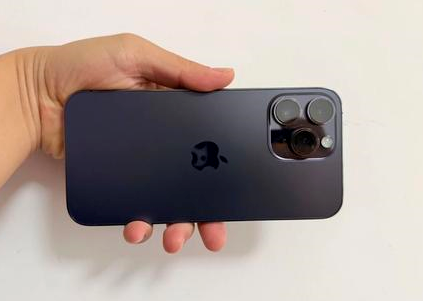 穆棱苹果维修点分享iPhone 14 Pro Max黑屏少见故障盘点 